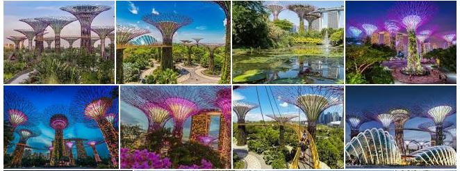 singapore-gardens-by-the-bay